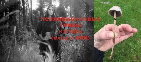 гидра Абинск