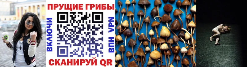 Псилоцибиновые грибы мухоморы Янаул